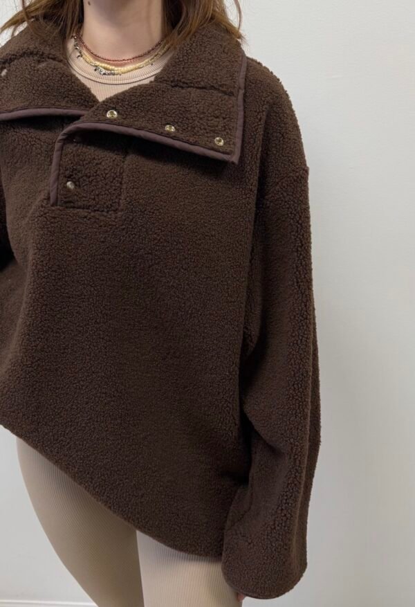 Brown Teddy